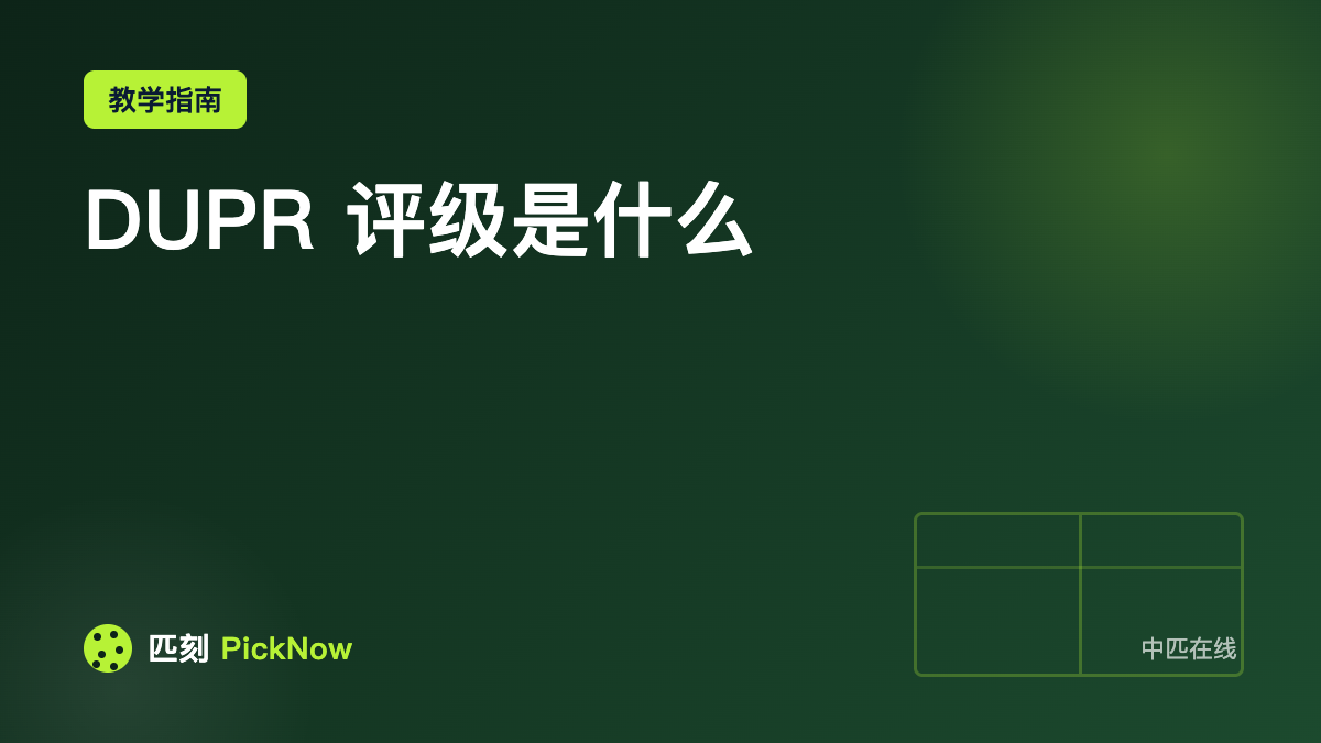 DUPR 评级是什么