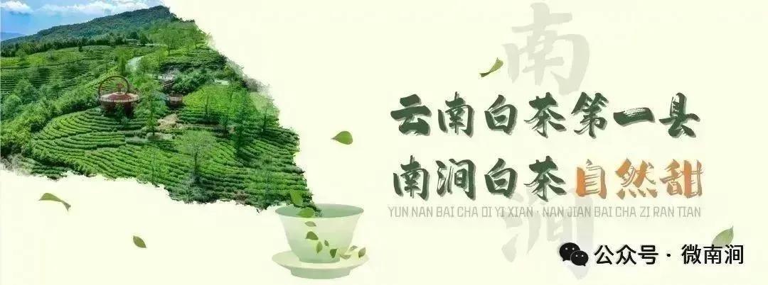 评论丨让匹克球在大理“打”出全民健身新节奏——大理州首届匹克...