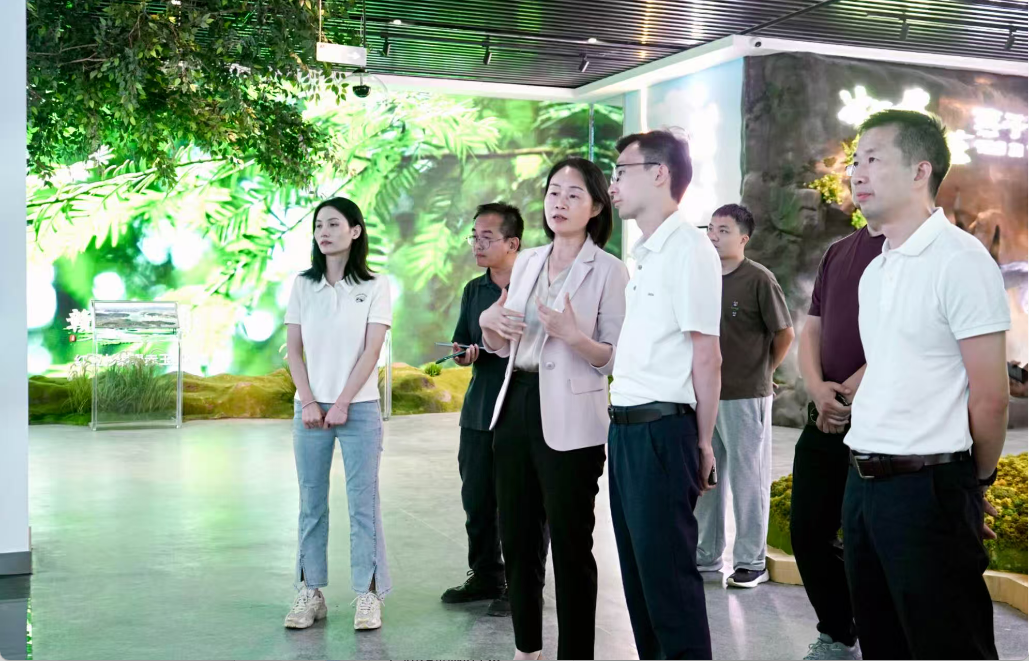 ...协会(美国)匹克球分会主席王鹏飞在上犹考察调研匹克球产业发展情况